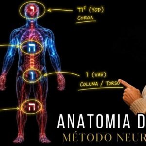 Anatomia da alma